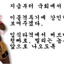 구로의원 Daum카페