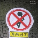 개폼난다 이미지