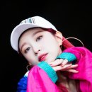 하니비디오 티스토리