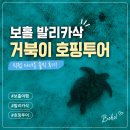 보홀 발리카삭 거북이 호핑투어 추천 스타인월드 스노쿨링 후기
