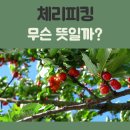 체리피킹 뜻과 예시, 주식 소비 논리에서 달라지는 의미