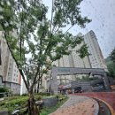 내덕 서희스타힐스아파트 이미지