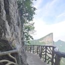 생뚝 | [해외여행] 장가계 3박 5일 패키지여행 중 3,4일차 후기 - 천문산,칠성산,홍석림, 부용진, 황룡동굴...