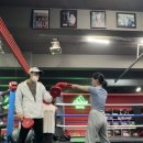 강남스타복싱 이미지