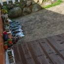 다솔민박 이미지