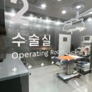 대구동물병원 이미지