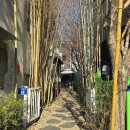 LG전자 서전주지점 | 전주 객리단길 조용한 카페 '빈타이 고사점' 내돈내산 후기