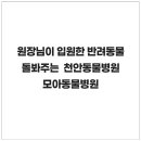 천안모아동물병원 | 24시간 동물병원 원장님이 입원한 반려동물돌봐주는 천안동물병원 천안모아동물병원