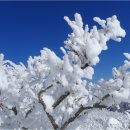 그해 겨울이야기 이미지