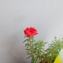 그린1급종합정비 이미지