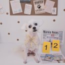 한송이 미용실 이미지