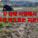 예산읍003 네이버블로그