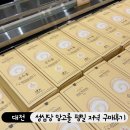 초록망고 | 대전 성심당 본점 케익 부띠끄 &#34;망고롤&#34; 평일 저녁 구매 후기