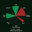 270-1530 | LFP vs NCM 배터리 완전 비교 2025년 가격 수명 안전성 겨울 성능 충전속도 화재 위험 테슬라 아이오닉5...