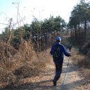 팔공산왕건길 2코스 이미지