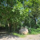 시원행정사사무소 이미지