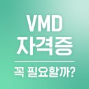 VMD자격증, 꼭 필요할까? VMD 비주얼머천다이징 알아보기