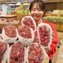 글로리스타 이미지
