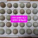 천마산농장 이미지