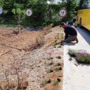 왕궁남초등학교 이미지