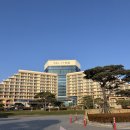 야외화장실(옛길) | 고성 소노캄 델피노 C동 호텔 울산바위뷰 체크인 룸컨디션 후기