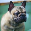 ZANYCAMP(재니캠프) 이미지