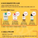 비사이