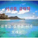 와갓집 Daum카페