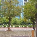 영덕레스피아 농구장 이미지