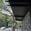 오리온농장 | 27.9세 직장인의 혼자 떠난 호주여행 (13)_브리즈번#2 / 현대여행사 무게라호수 투어 후기