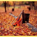 운악산의뜰 이미지