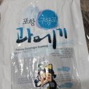 해초과메기 이미지