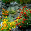 청량사 산사음악회 이미지