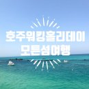 로마스할리데이 네이버블로그