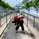 딸기어린이집 이미지