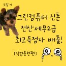 그린컴퓨터119 이미지