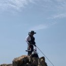 의조산업주 | 다이코 명수"名手" 기 소개