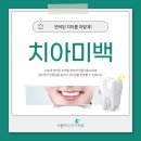 미백집