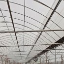 수호네 농장 이미지