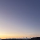 주식회사 그라지타운 | 4 🏝️ (알로하와이 오아후섬 투어, 카이커피, 할레이바 타운, 파타고니아, 돌 플랜테이션, 와이켈레...