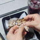 난커리떡볶이 이미지