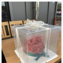 한우지 이미지