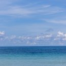 YS유통 | NMN 기전 및 제품 고르는 방법