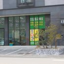 전집보고