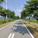 안성 조령천 이미지