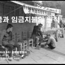K&S글로벌 행정사사무소 이미지