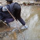 숲의 마음 이미지