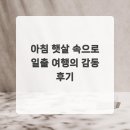 아침햇살 | 아침 햇살 속으로 일출 여행의 감동 후기