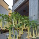 학동초등학교 이미지