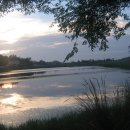 영산대학교 부동산대학원 이미지